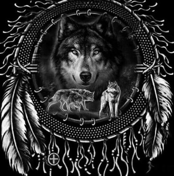 Meet your Posher, Kevin - Picture 1 of 1